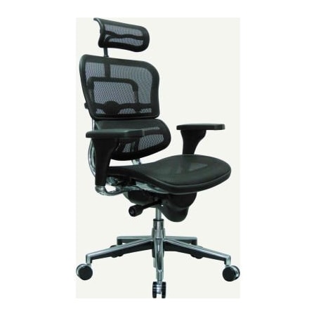 Raynor Marketing Ltd. Eurotech Mesh Managers Chair - High Back - Black - Ergohuman Series ME7ERG-W09-01